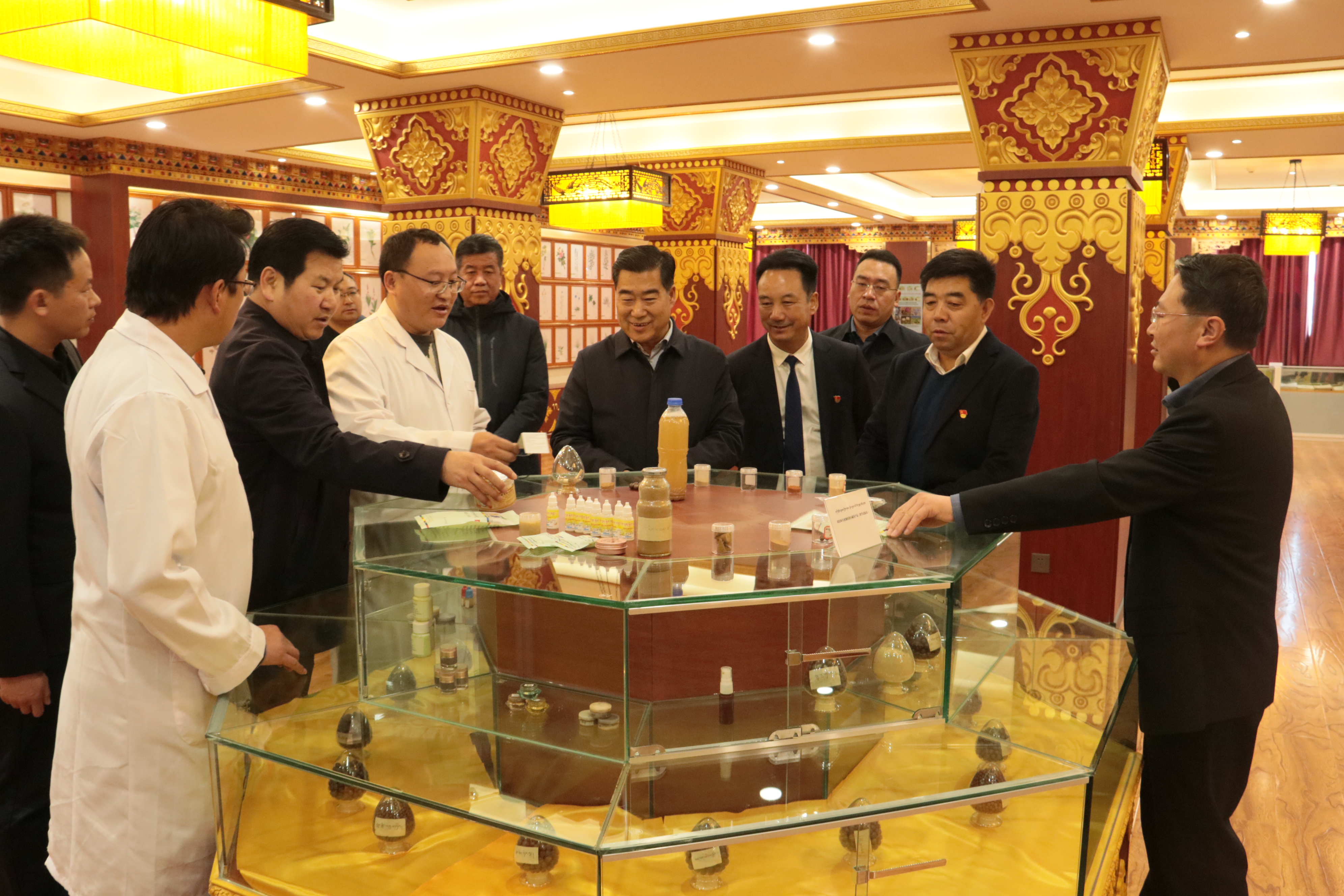 州委书记何谋保在我校藏医药教育基地调研